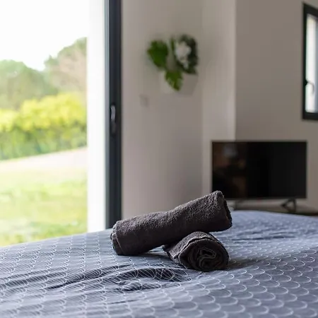 Casa Cactus Toulouse: Piscine Privative *